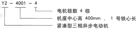 YR系列(H355-1000)高压YJTFKK5602-2-1600KW三相异步电机西安西玛电机型号说明